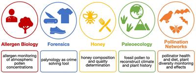 A primer on pollen assignment by nanopore-based DNA sequencing